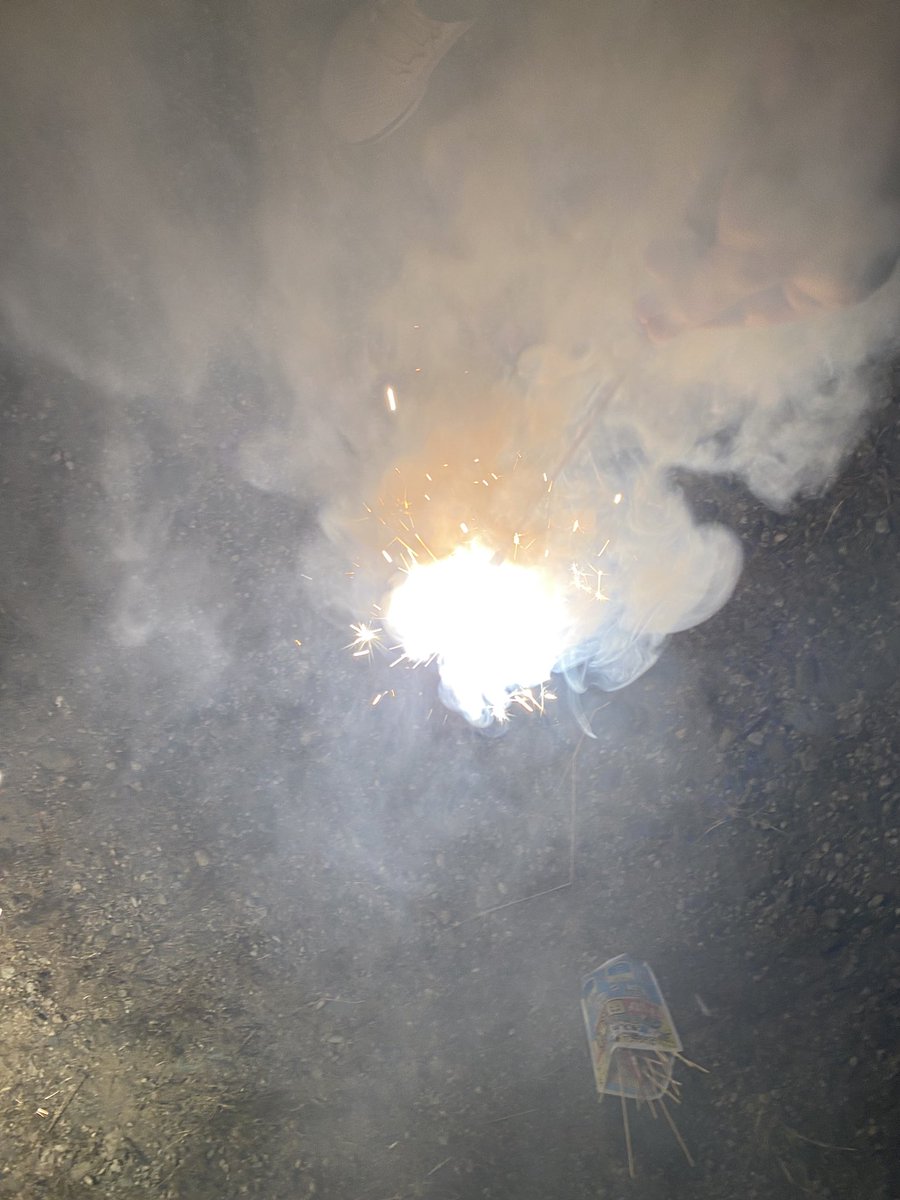 Ktombow1110's tweet image. とんとんぼの燻製

 #tama_river_swift