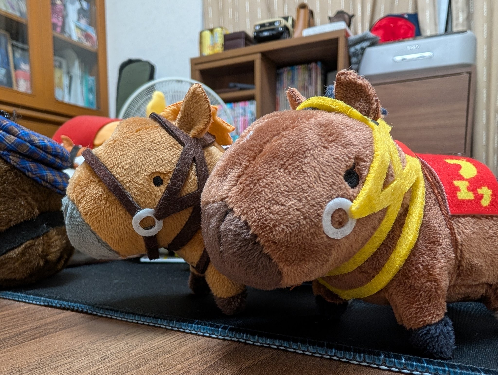 UMAbred【公式】 (@umabred) / X