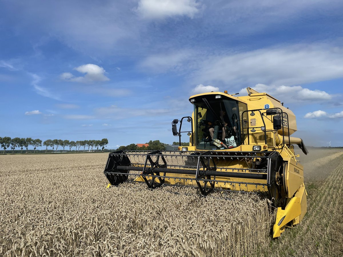 Diederik van Arkel tweet media