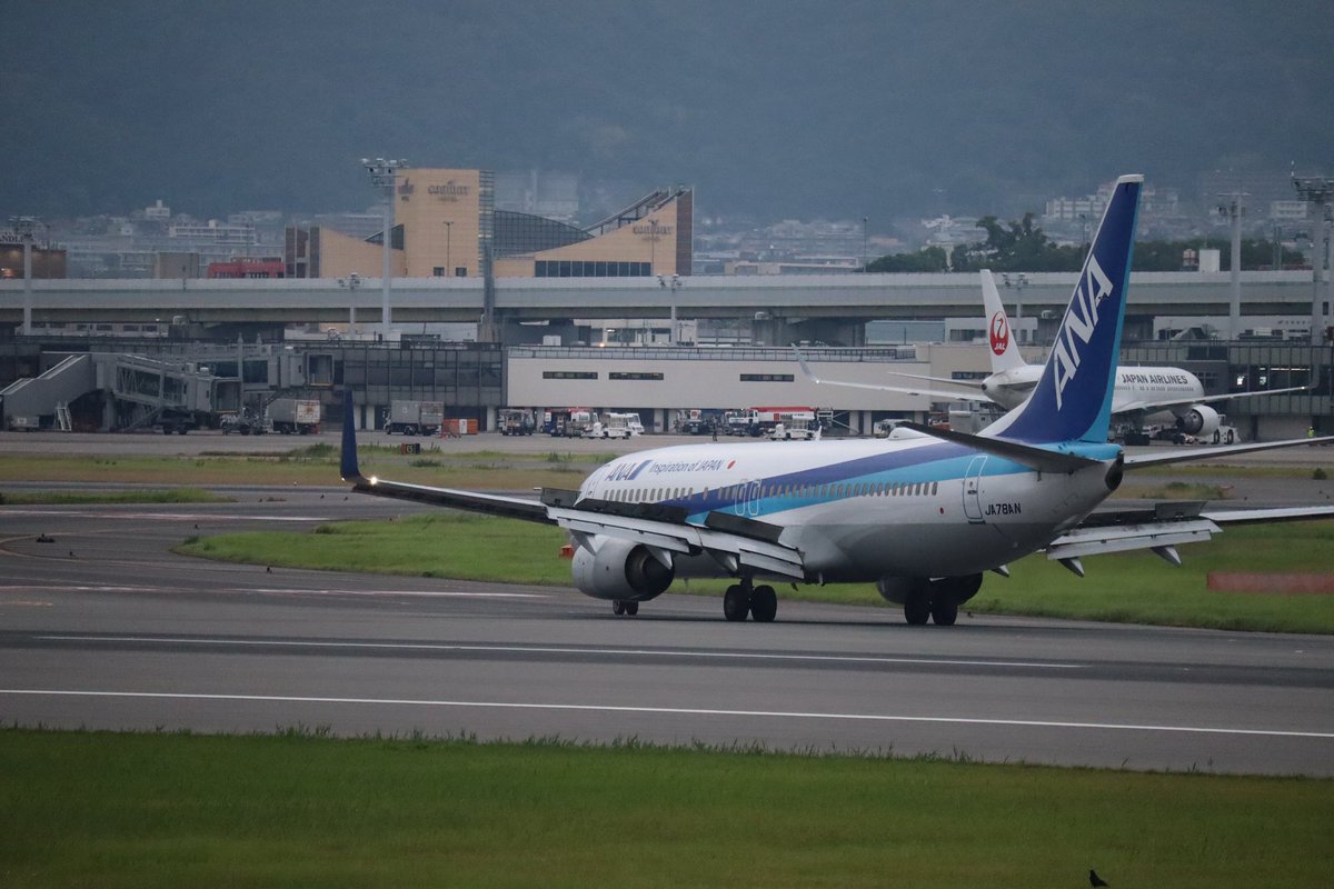 みきょ tweet media