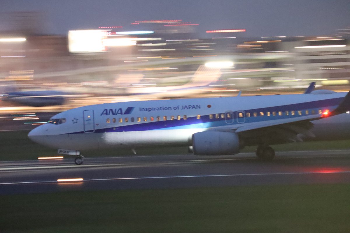 みきょ tweet media