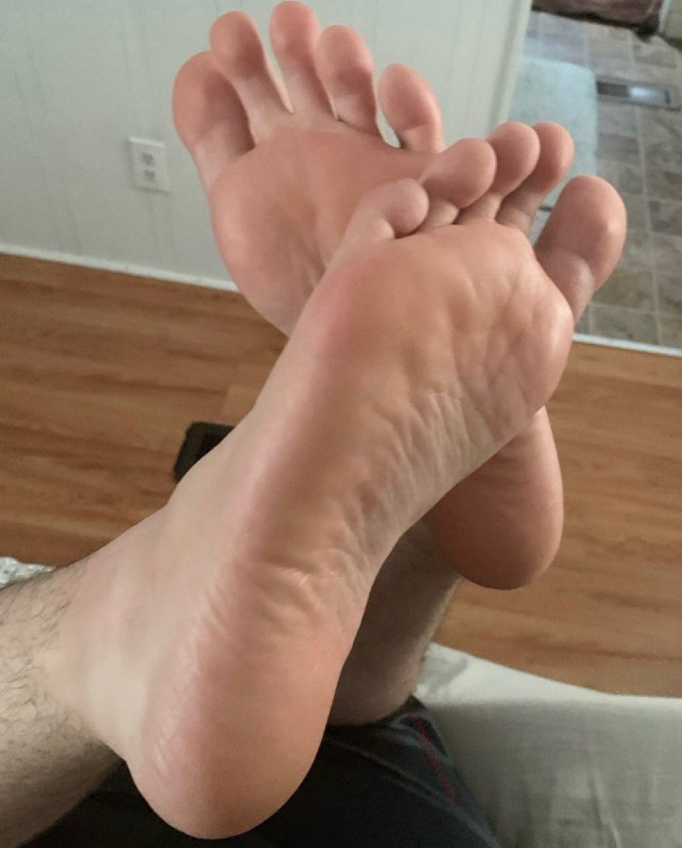 EctoPuppyAD tweet media