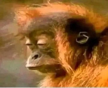 256Rootyherman's tweet image. 8yr old me pretending to be dosing so that mum serves food very fast