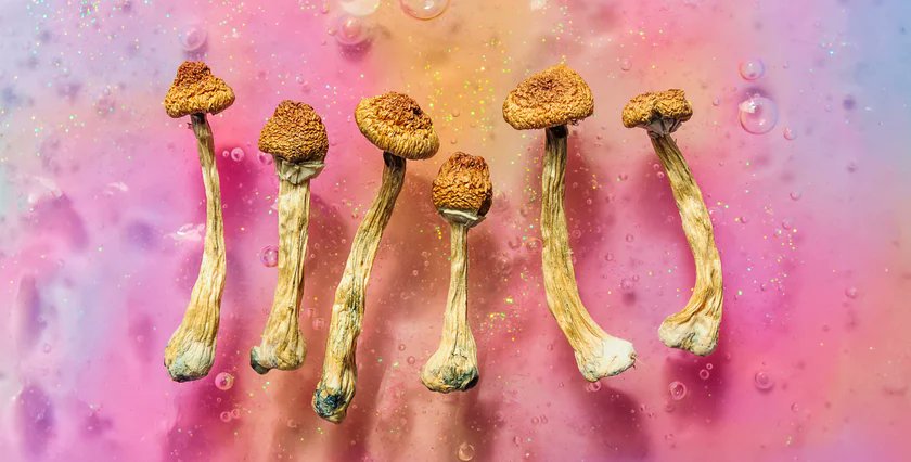 Psykedeeliterapia

Tšekki aikoo laillistaa psilosybiinin käytön masennuksen ja muiden mielenterveysongelmien lääketieteelliseen hoitoon

Suomen kannattaisi harkita samaa. Pysekedeeliterapian avulla voitaisiin

1) Säästää nykyisissä hoitokuluissa
2) Palauttaa ihmisiä työelämään
3)