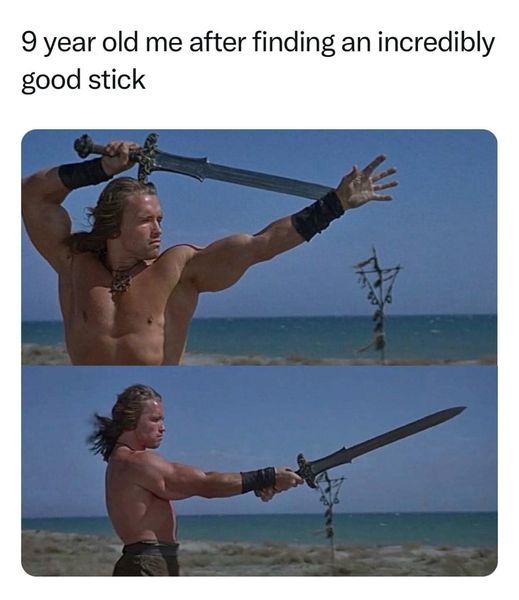 star 💫 tweet media