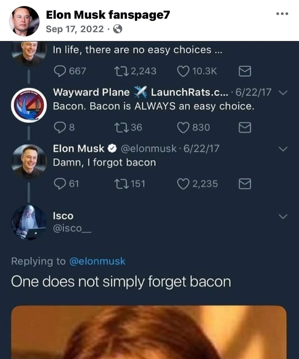 hydra (@blephin_) on Twitter photo 