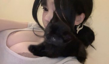 ㅤㅤㅤㅤㅤㅤㅤ        🧸
                Jym es un lindo gatito!