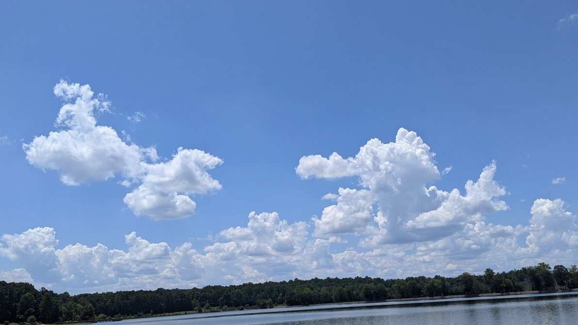 [P]articleion tweet media