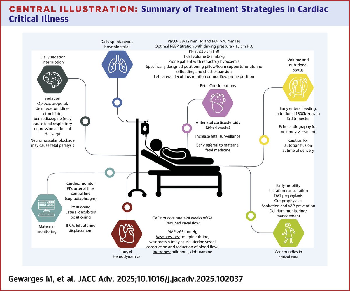 🔴Caring for Two: Management of the Critically Ill Cardiac Patient During Pregnancy⤵️ State-of-the-Art #2025Review <a href="/JACCJournals/">JACC Journals</a> #openaccess 
    
🔹jacc.org/doi/10.1016/j.…
 #FOAMed #MedEd #medstudent #paramedic #Cardiology #CardioEd #medtwitter #meded #CardioTwitter