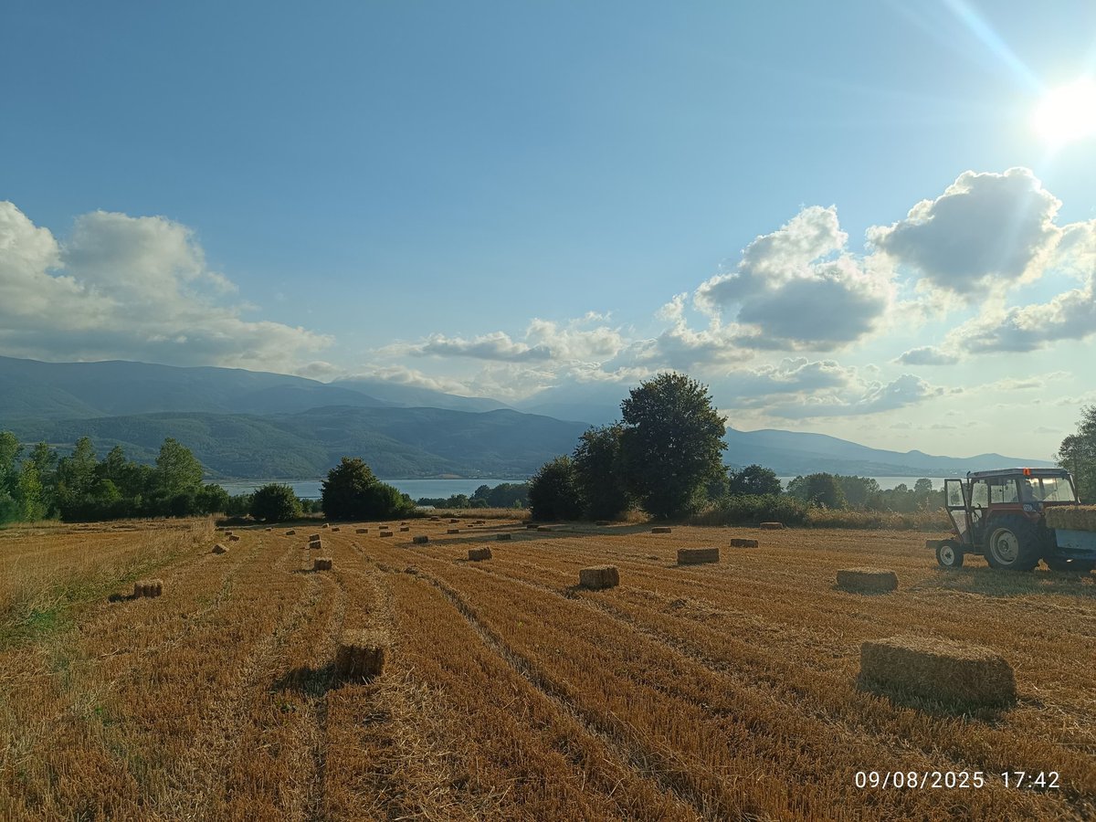 Manzara güzel ama kaderde ırgatlık