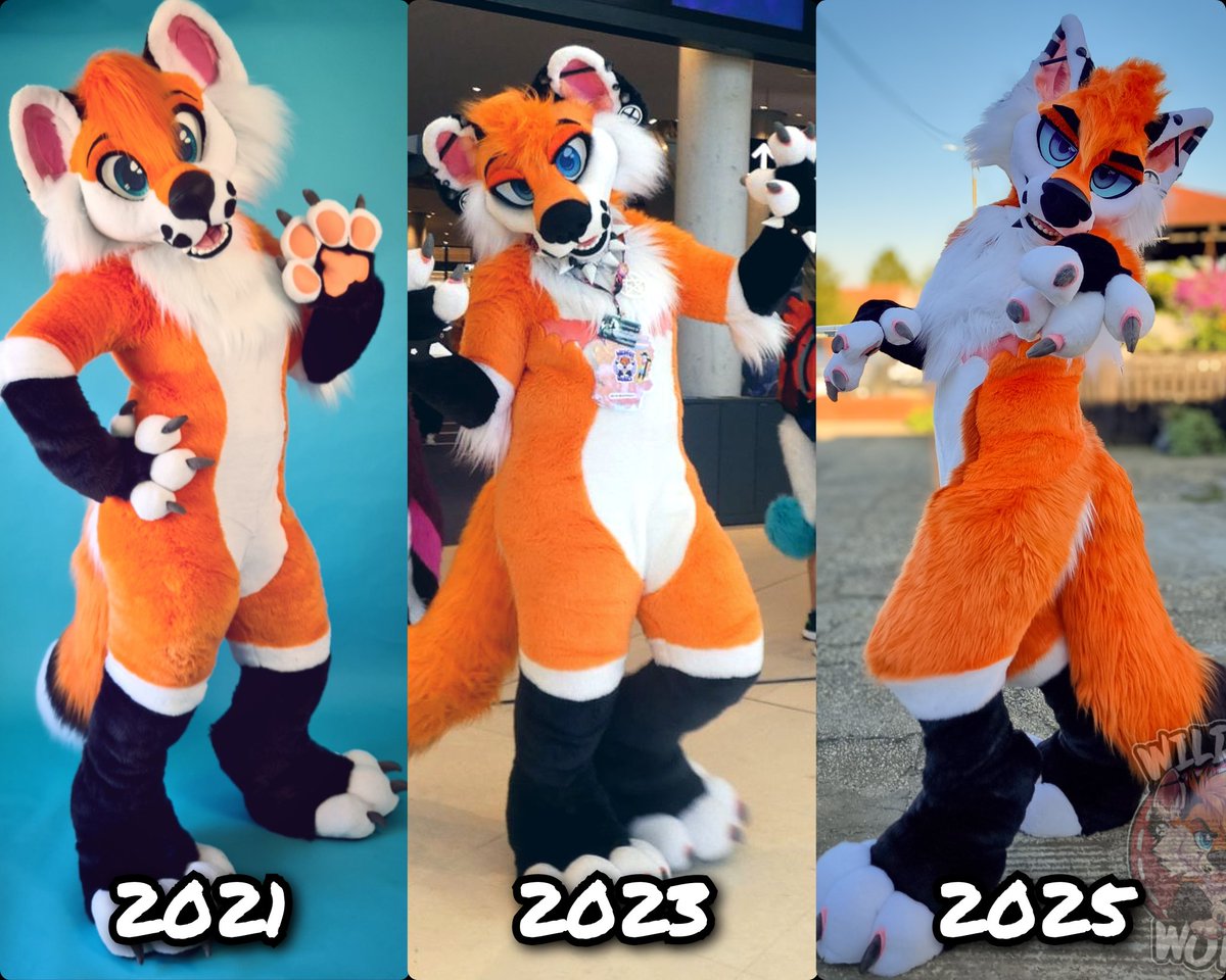 suit progression