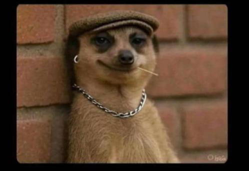 Promise_Ekpe1's tweet image. Please somebody should mistakenly transfer 1btc to this wallet address....👇👇
1D2rfkdMAAWKe6yQrE5SQUWE8PGNzwFfk4
I want to see how it feels to have 1btc in your wallet
I will send it back I promise 🤔