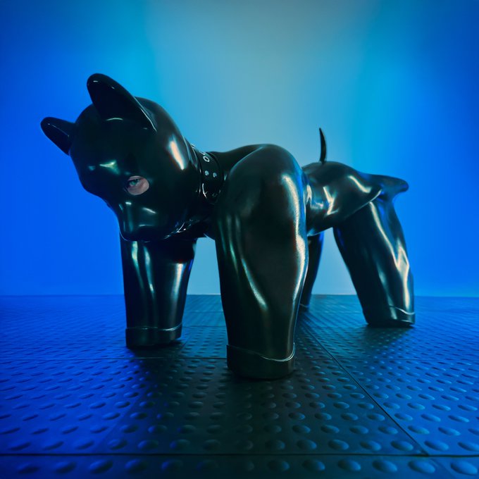 BitchSuitBDSM's tweet photo. Silicone #Bitchsuit now available in either soft or hard silicone!
I love mine.
You can get one here with this special link that gives you a discount 

https://t.co/yy5eTiHfOc https://t.co/S1aoUtuDXQ