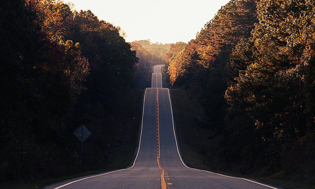 Southern Scenery tweet media