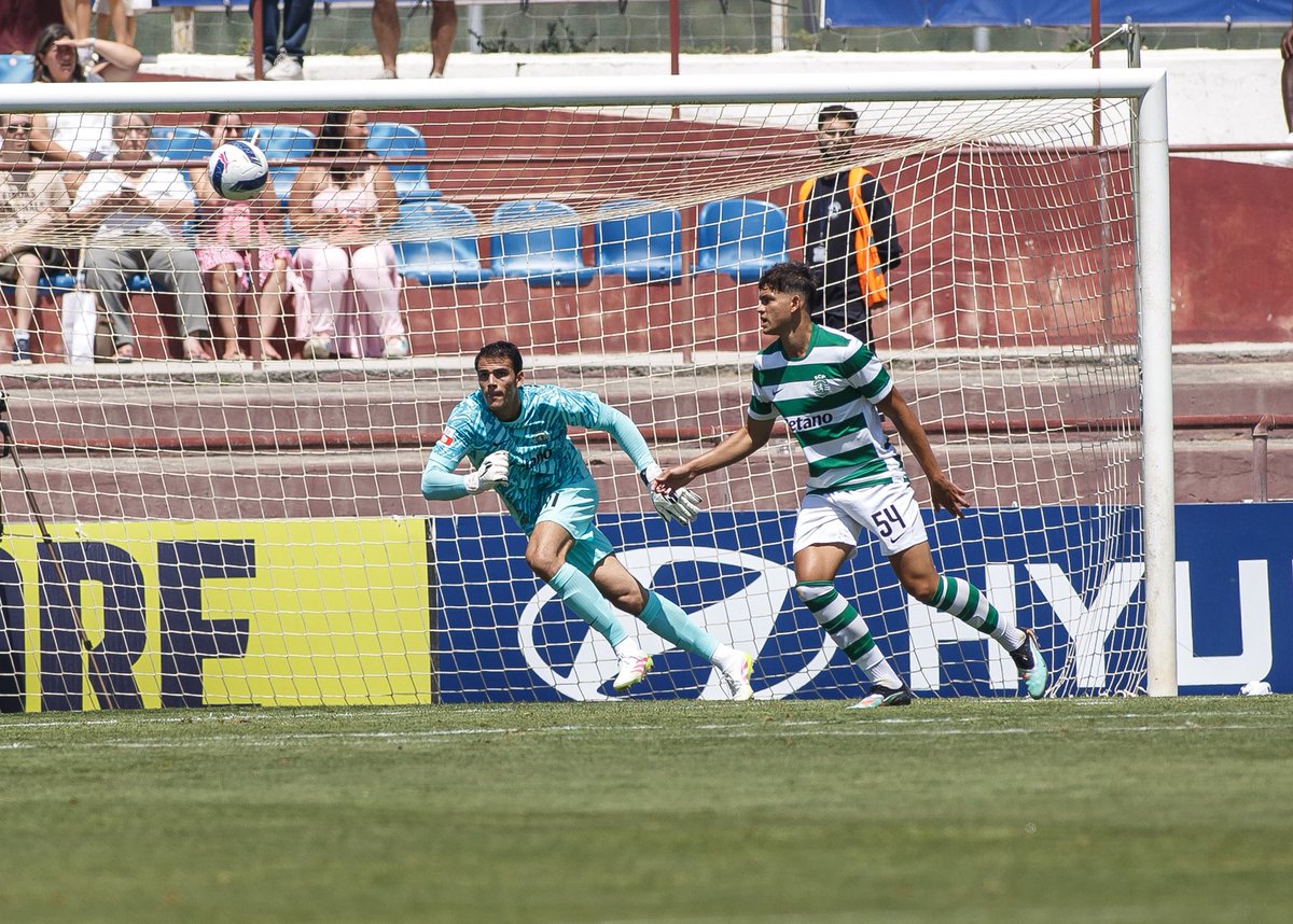 CallaiDiego's tweet image. Vitória e jogo sem sofrer gols. Missão cumprida. 🎯