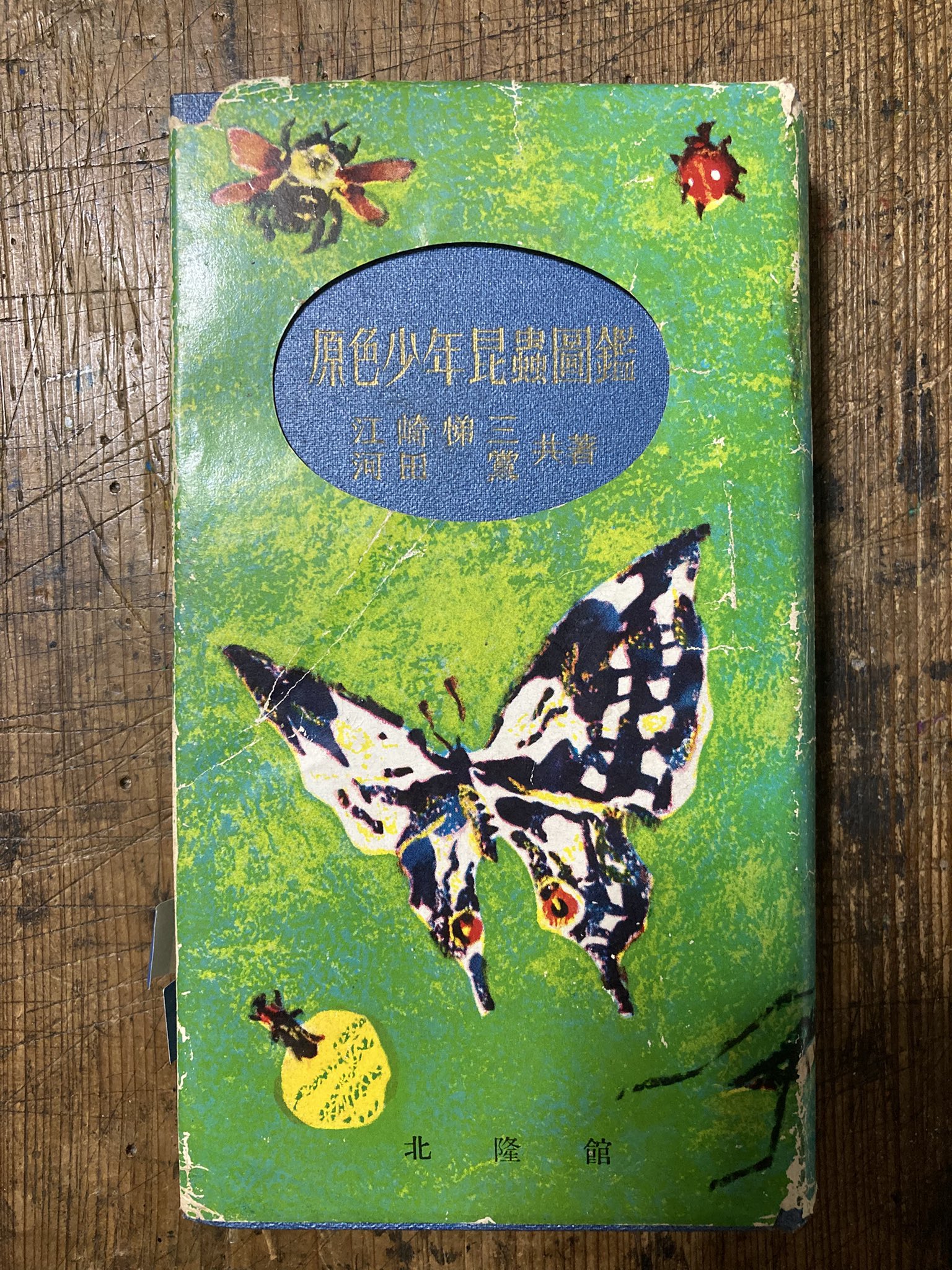 No.241 古書 洋書 児童書 植物·昆虫·動物·樹木·鳥·蝶·魚 図鑑 自然 No.241 古書 洋書 児童書 植物·昆虫·動物·樹木·鳥·蝶·魚 図鑑 自然 No