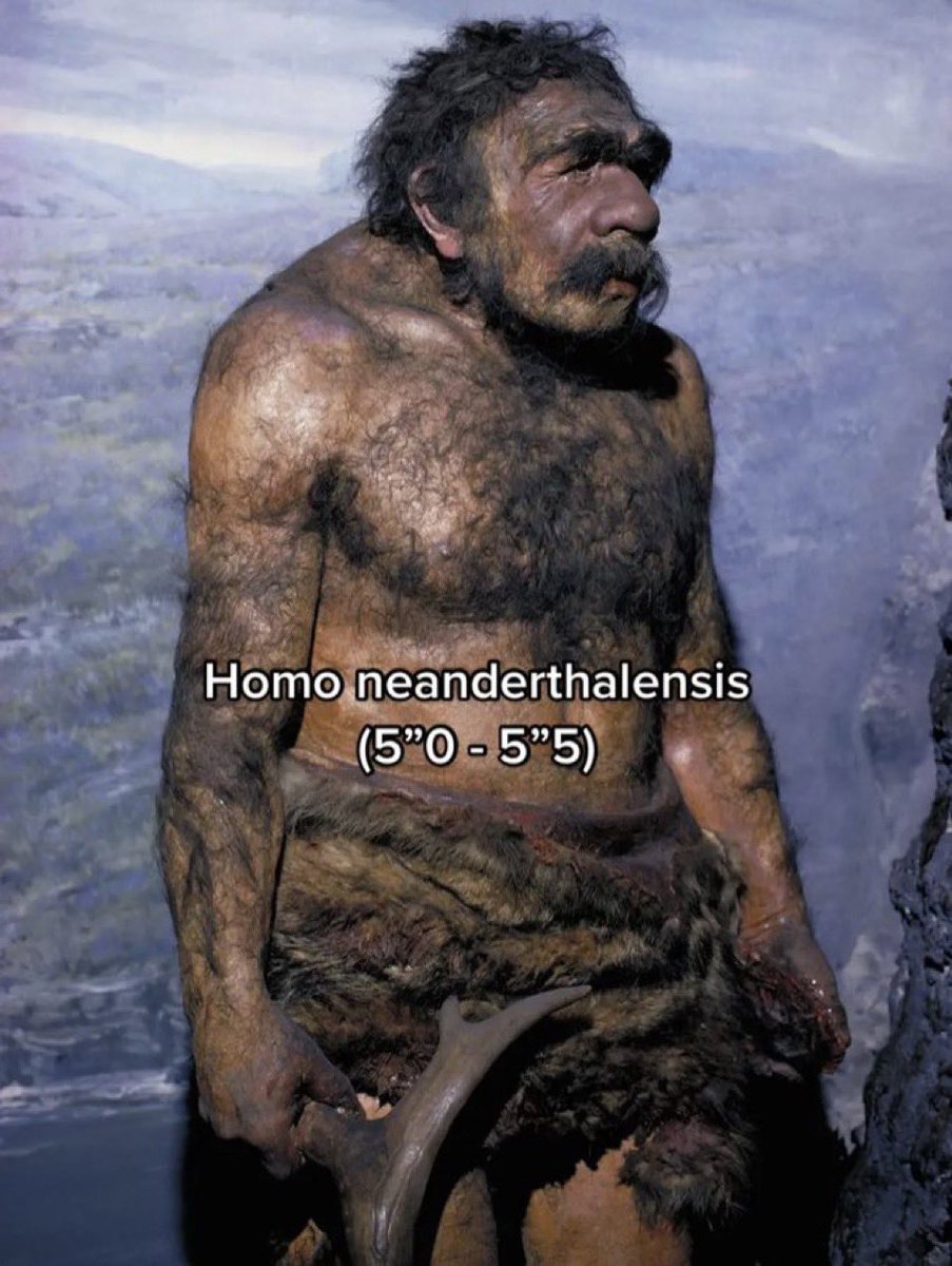 Türke in freier Wildbahn