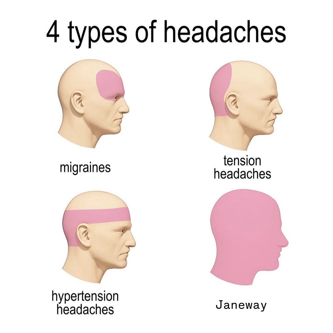 Borg Queen (We/Us/Our) (@borgqueenonline) on Twitter photo 