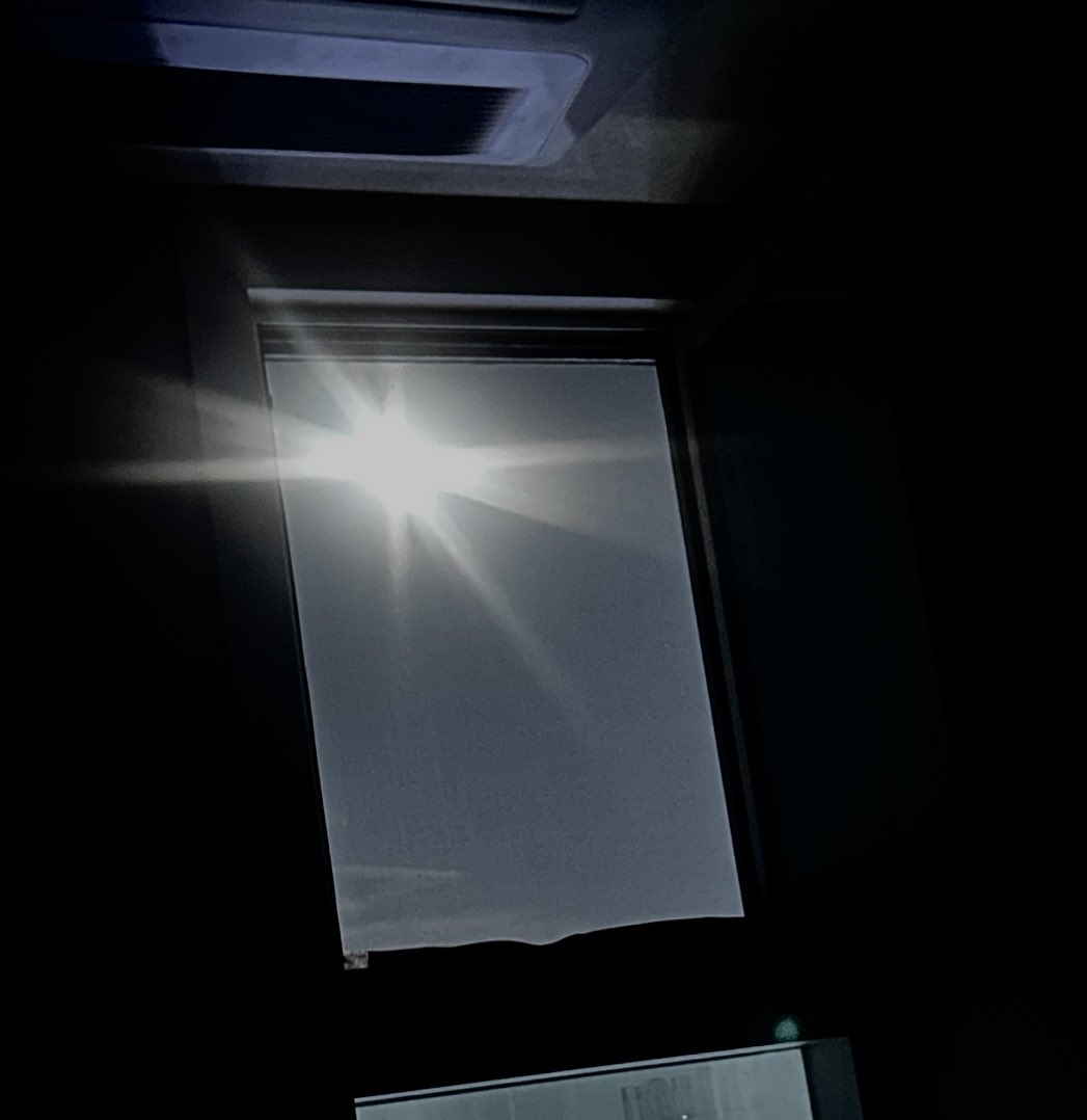 우린 이걸 달빛이 아니라 햇빛이라고 부르기로 했어요