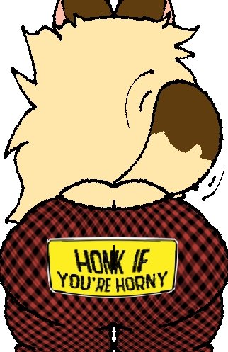 🔞Orbit🔞💥 tweet media