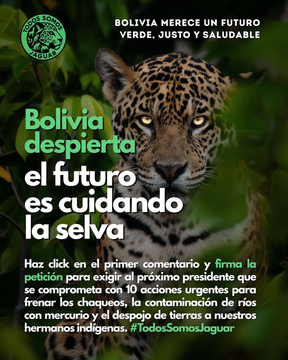 Lanzamos #TodosSomosJaguar, un movimiento ciudadano para exigir 10 compromisos ambientales urgentes a los candidatos a la presidencia de Bolivia.

📢 Suma tu voz así:
1️⃣ Firma la petición 👉 bit.ly/TodosSomosJagu…

#TodosSomosJaguar