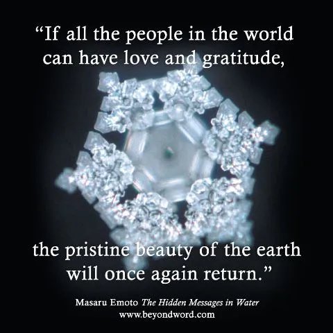 MagnificentMY's tweet image. If all the people in the world can have love and gratitude, the pristine beauty of the earth will once again return. 

#DrMasaruEmoto #powerofwords #powerofintention #water