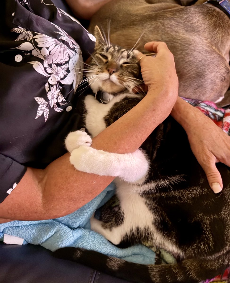 Happy weekend! 
My little boy, Rascal 🩵