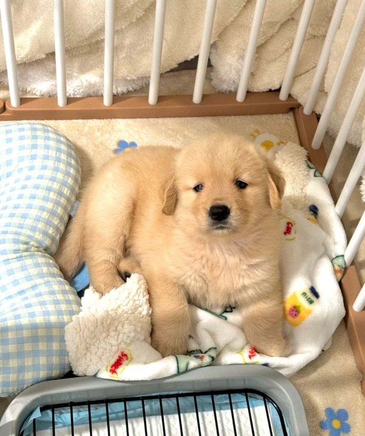 Animal Lover (@animal_fanlover) on Twitter photo 