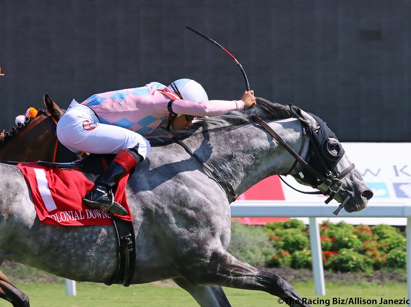 The Racing Biz (@theracingbiz) on Twitter photo Witty reaching for the wire in a last-to-first rally to win the Van Clief <a href="/ColonialDowns/">Colonial Downs Racetrack</a> photo <a href="/Prairie_Bayou/">Allison Janezic</a> Witty reaching for the wire in a last-to-first rally to win the Van Clief <a href="/ColonialDowns/">Colonial Downs Racetrack</a> photo <a href="/Prairie_Bayou/">Allison Janezic</a>
