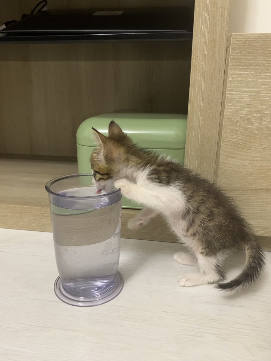 boyumdam buuk sulara kalkisdim