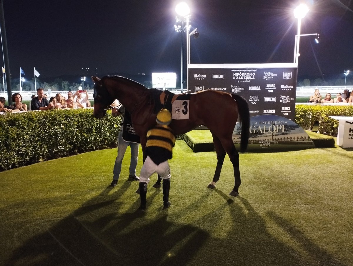 ACPSIE (@acpsie) on Twitter photo Victoria en paseo de VILLAIRES en la primera de la noche hoy en <a href="/HipodromoMadrid/">Hipódromo de La Zarzuela</a> . Criado por la Yeguada Ciudad Rodrigo, el hijo de Lightning Moon y Valdavia firma su quinta victoria. Victoria en paseo de VILLAIRES en la primera de la noche hoy en <a href="/HipodromoMadrid/">Hipódromo de La Zarzuela</a> . Criado por la Yeguada Ciudad Rodrigo, el hijo de Lightning Moon y Valdavia firma su quinta victoria.