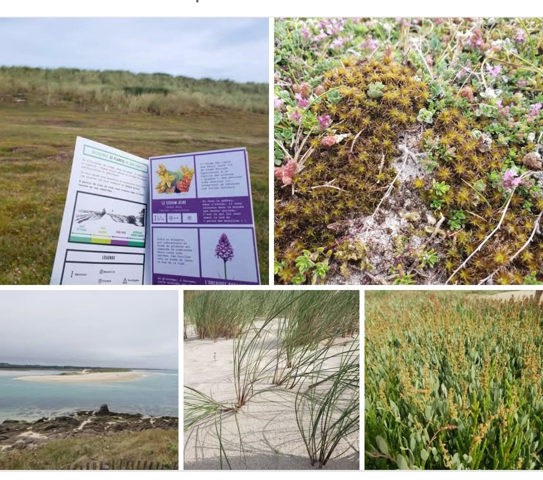 [À conseiller] Excellentes sorties natures dans les dunes de #Keremma (29)

Pédagogie, clarté et passion : merci à Nicole Chapalain &amp;  co !