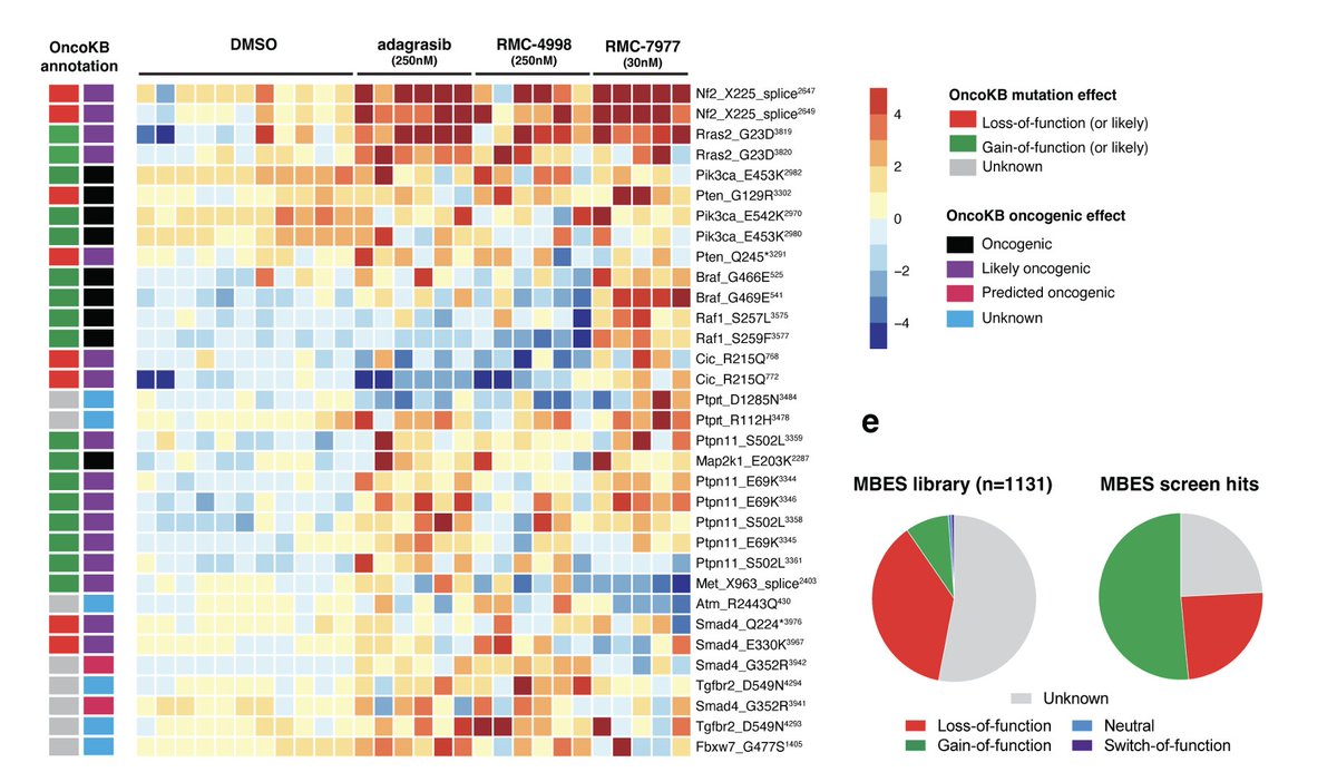 Anirban Maitra (@aiims1742) on Twitter photo Preprint from <a href="/dow_lab/">Dow Lab</a> <a href="/WeillCornell/">Weill Cornell Medicine</a> using CRISPR base editing screens:
Genetic mechanisms of resistance to targeted KRAS inhibition
biorxiv.org/content/10.110…
MAPK reactivation remains the predominant mechanism of resistance to KRASinh. Also identifies a hotspot mutation in CiC. Preprint from <a href="/dow_lab/">Dow Lab</a> <a href="/WeillCornell/">Weill Cornell Medicine</a> using CRISPR base editing screens:
Genetic mechanisms of resistance to targeted KRAS inhibition
biorxiv.org/content/10.110…
MAPK reactivation remains the predominant mechanism of resistance to KRASinh. Also identifies a hotspot mutation in CiC.