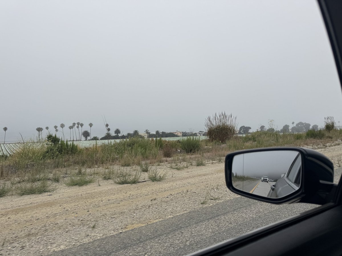 Nice drive up the coast to start the day. The Pacific is out there somewhere. I swear!