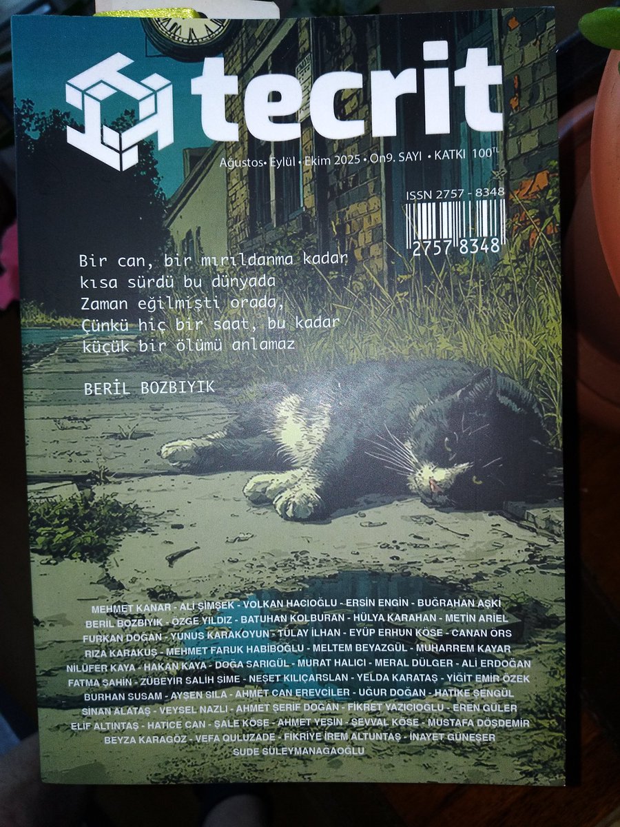 Tecrit sayı 19'a Fahreddin-i Irakî dosyasıyla destek verdim.