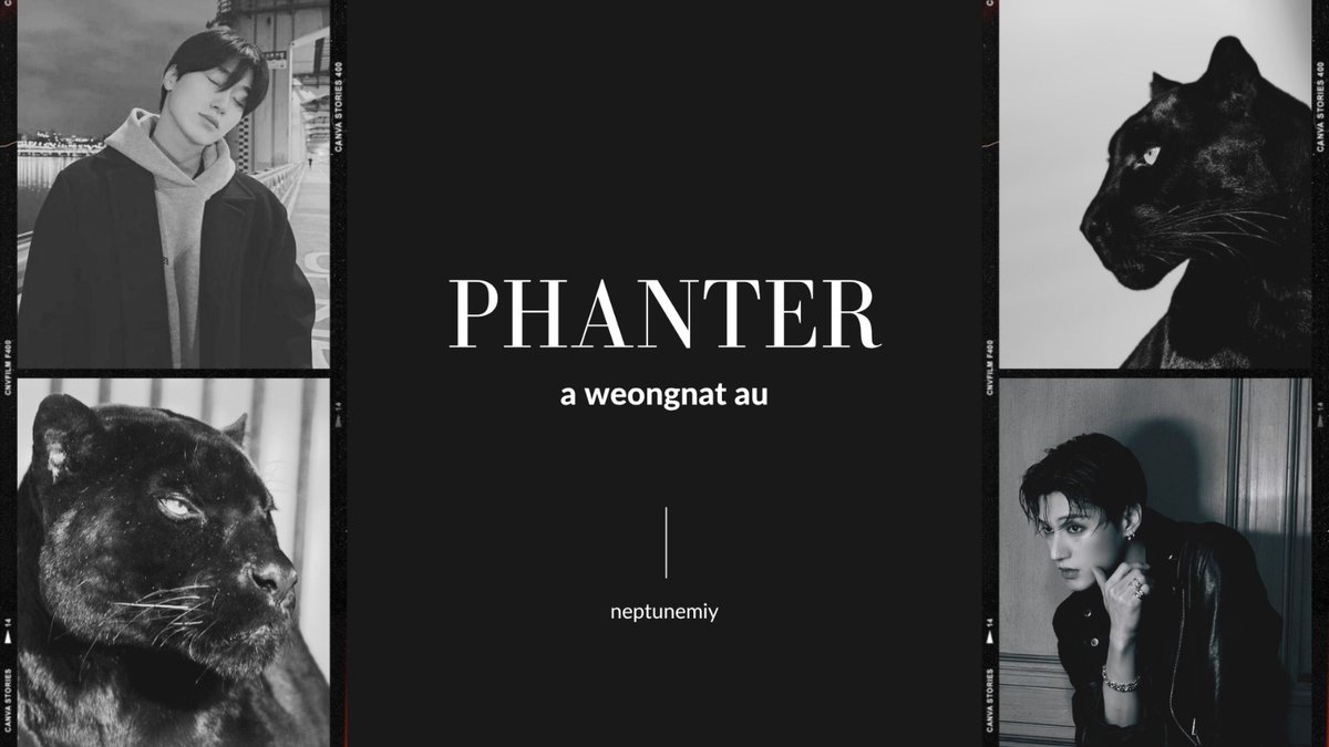 neptunemiy's tweet photo. weongnat ; woosan au

—PHANTER

ketika kucing ireng buluk yang kamu pungut di tumpukan sampah ternyata hybrid phanter. https://t.co/9oGPE3VTKH