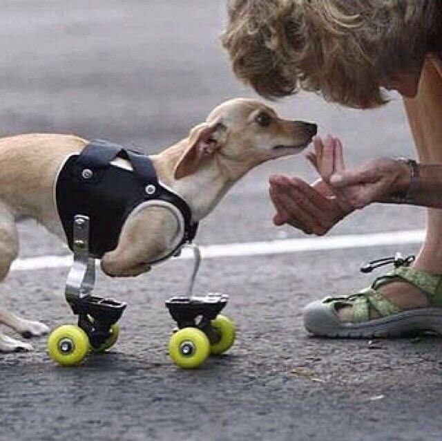 Don’t pass without leaving a big heart ❤️