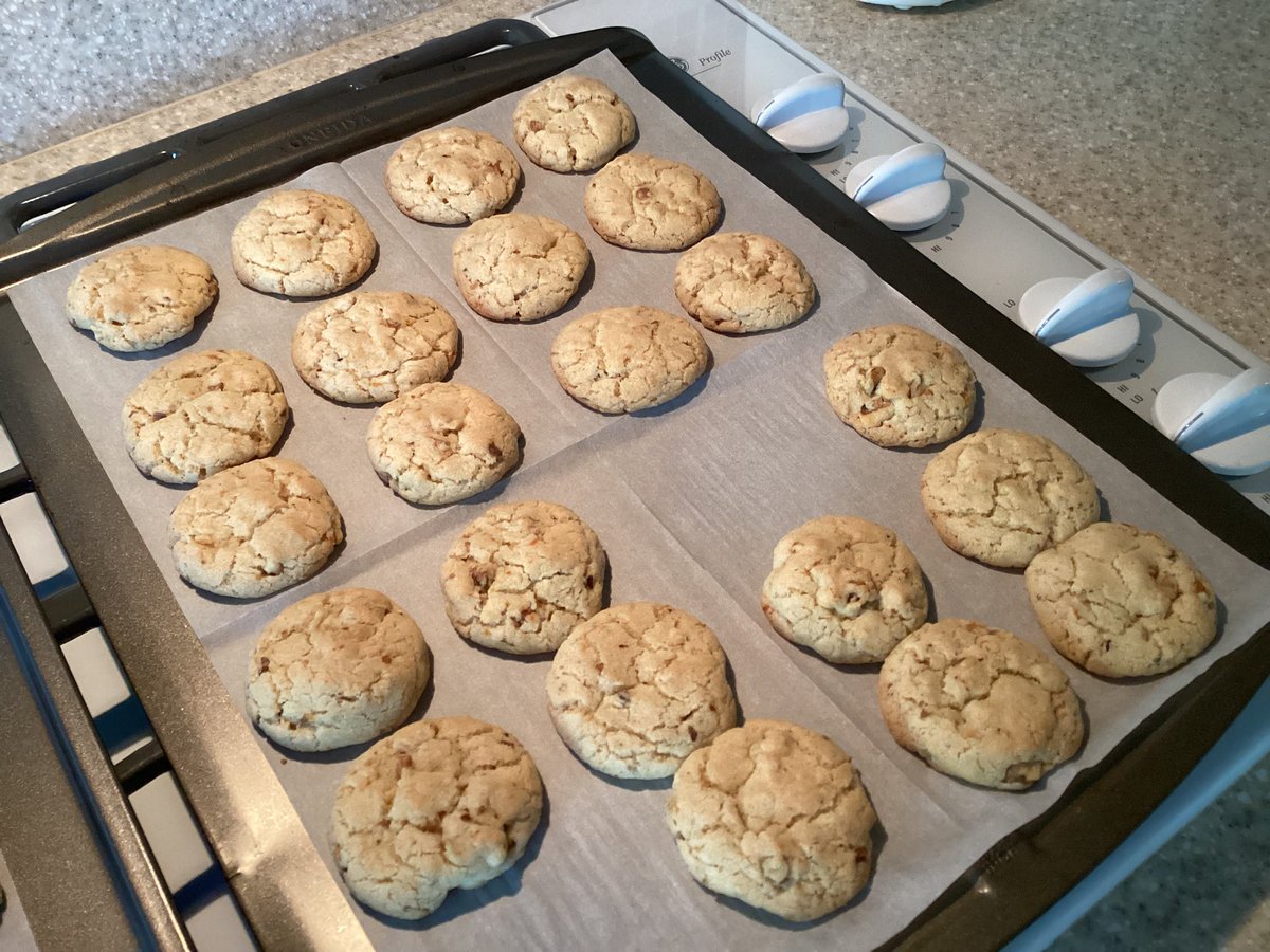 It’s Katiebug from the Bridge 🐶🌈
Mommy’s Orange,🍊Walnut, Sugar Cookies are so yummy. My Daddy loved them. 
She stole one of the birdies 🍊, a Betty Crocker sugar cookie mix, added 1 egg, 1/3 cup olive oil, orange zest and juice, walnuts and enough water to make dough. 
Yummy😋