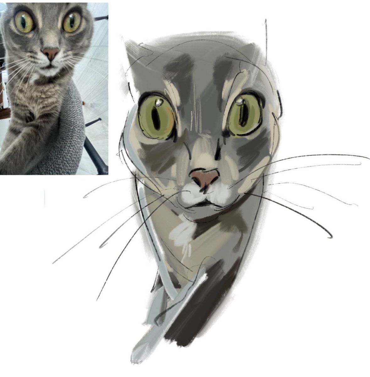 enough deltarune i drew my sister’s ugly ass cat