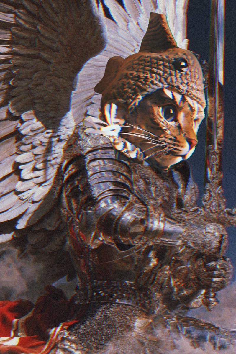 Shark Cat 🦈🐱 tweet media