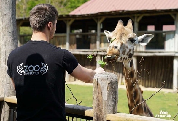 ⚡ Nouveau bon plan Vente privée billet entrée pour le Zoo Amnéville : 21,90€ tarif enfant, 26,50€ tarif adulte #bonplan  👉  bons-plans-malins.com/vente-privee-b…