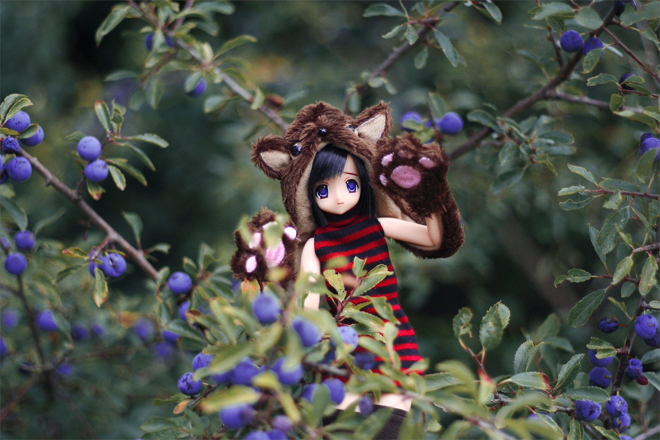 Gx7DVmKWcAAcf4e?format=jpg&name=4096x4096