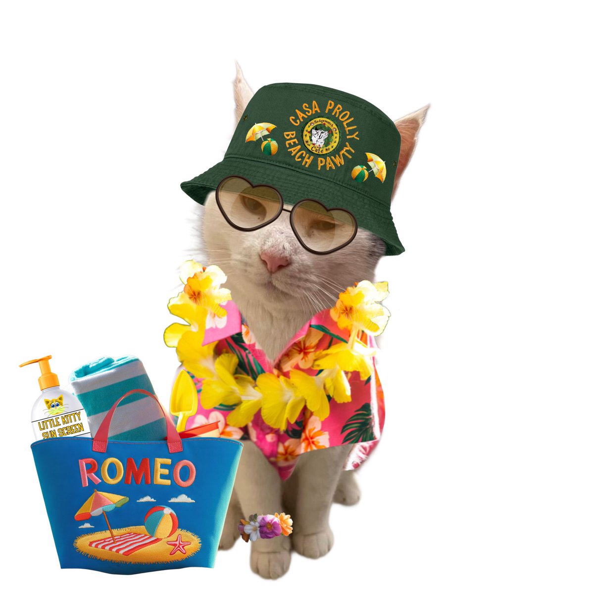 I’ve had such a fabulous time today at the #HWCafe  #CostaProlly. Thank you to all involved and to the genius who made the sandcastle with the Rainbow purristas. Special thanks to dear pals Holly and Prinzi. Mr. Brock will bring the gang home❤️❤️🐾🐾