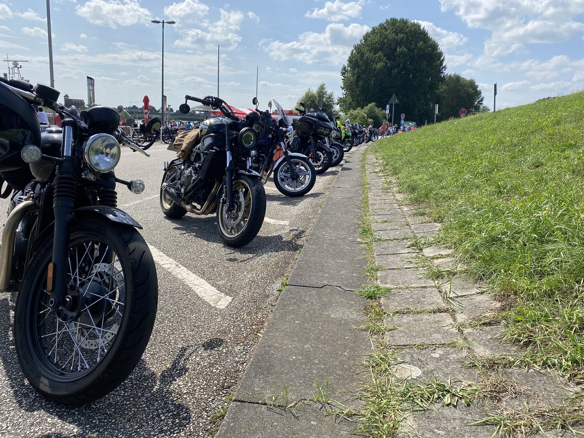 …Bordsteinschwalben😉