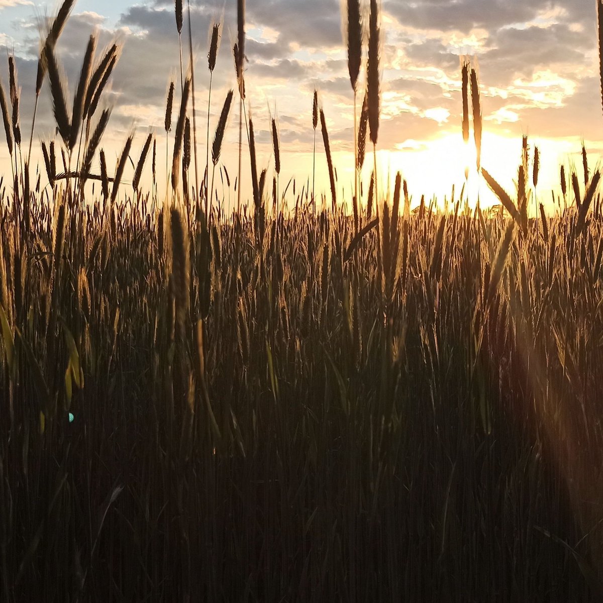 -Ilargi, zer dago han urrunean ikusten diren mendixka haietatik haratago?

Gustu baduzue...
xegun.eus/ilargi-bat/