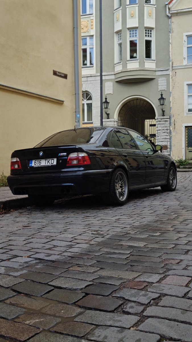 stigi™ tweet media