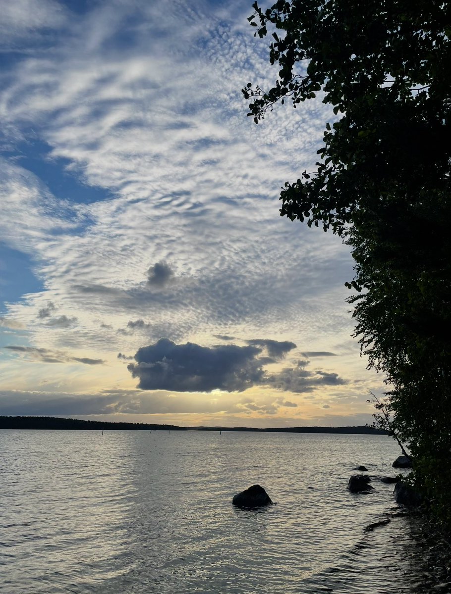 Olitko silminnäkijänä lauantaina 9.8. Tampereen Keskustorin puukotuksessa? 

Asia voi järkyttää sinua, ja voit tarvita keskusteluapua tänään tai vasta myöhemmin.

Voit soittaa sosiaali- ja kriisipäivystykseemme koska tahansa, ympäri vuorokauden. Numero on 0500 625990.