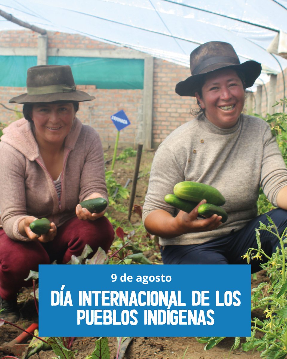 WFP Perú (Programa Mundial de Alimentos) (@wfp_peru) on Twitter photo Nuestros alimentos cuentan historias milenarias.
Gracias a los pueblos indígenas, sus tradiciones siguen dando vida a nuestras mesas y protegiendo el futuro de la agricultura en el Perú.
🌱 #PueblosIndígenas #AgriculturaFamiliar #CompartiendoLaMesa <a href="/WFP_es/">WFP Español</a> Nuestros alimentos cuentan historias milenarias.
Gracias a los pueblos indígenas, sus tradiciones siguen dando vida a nuestras mesas y protegiendo el futuro de la agricultura en el Perú.
🌱 #PueblosIndígenas #AgriculturaFamiliar #CompartiendoLaMesa <a href="/WFP_es/">WFP Español</a>