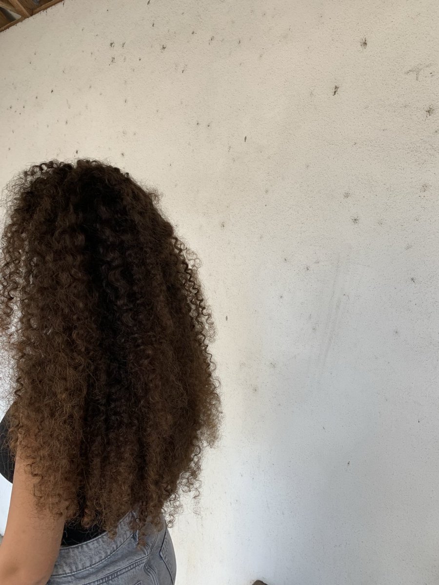 Gad Saad tweet media