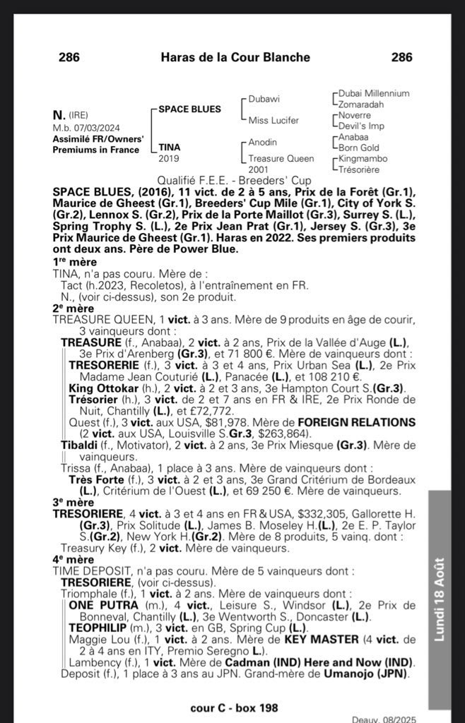 G1 Success for SPACE BLUES 🔵🔵🔵

 Come to see this beast of a yearling in Yard C ! Same as POWER BLUE (G1W) he’s out of a mare whose stallion was a tough Miler (ANODIN)

Roll on <a href="/InfoArqana/">ARQANA</a>